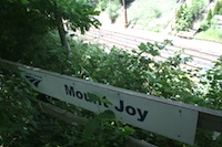 mount_joy24