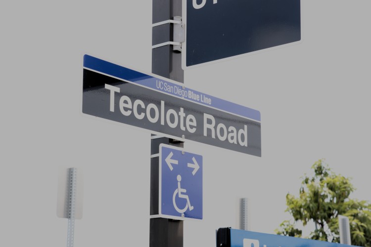 tecolote_road6