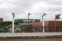 halsted11