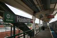 halsted16