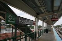 halsted39