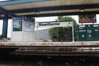 hawthorne17