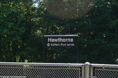 hawthorne1