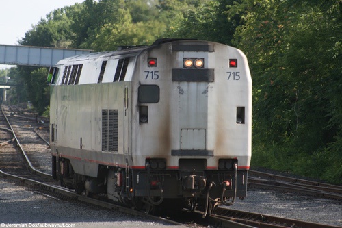 albany46