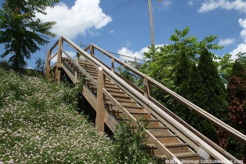 mount_joy17