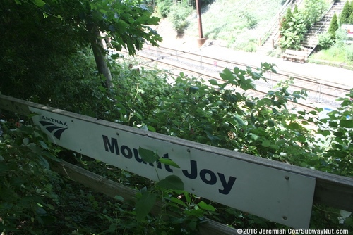 mount_joy24