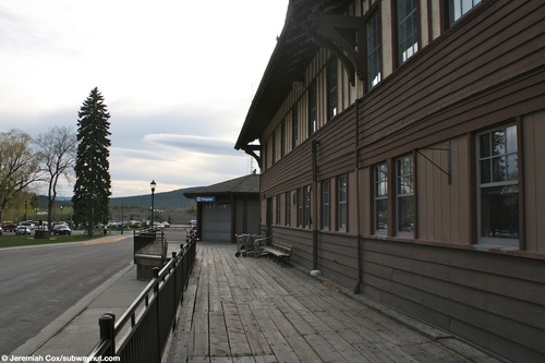 whitefish19