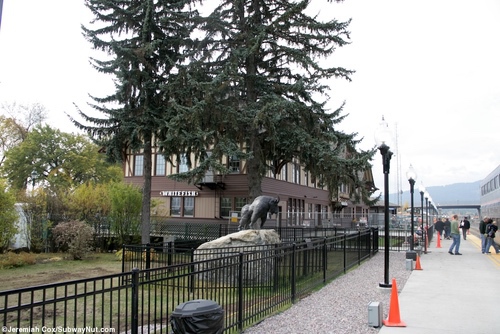 whitefish51