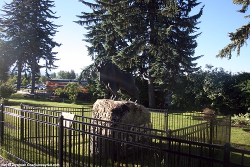whitefish58