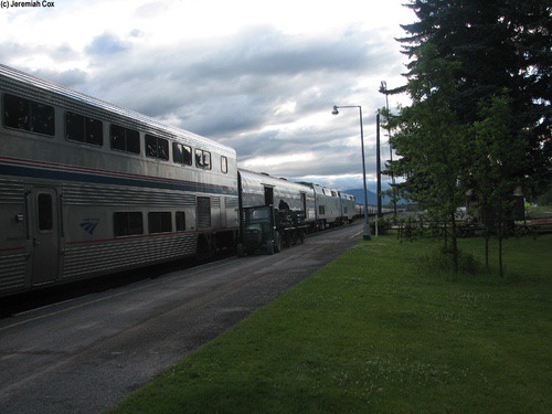 whitefish7