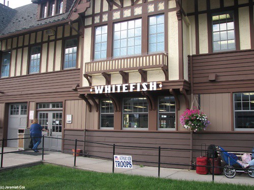 whitefish8