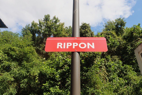 rippon14