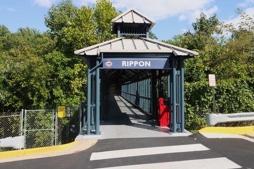 rippon36