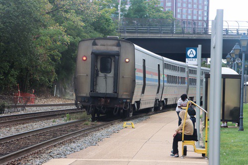 alexandria110
