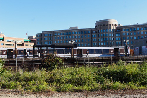 alexandria31