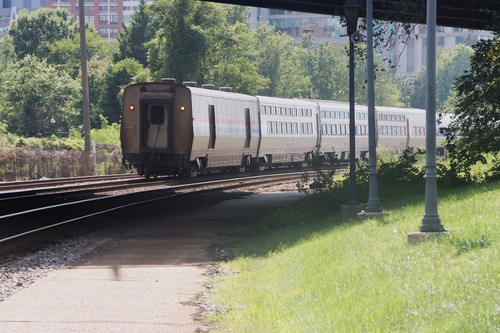 alexandria63