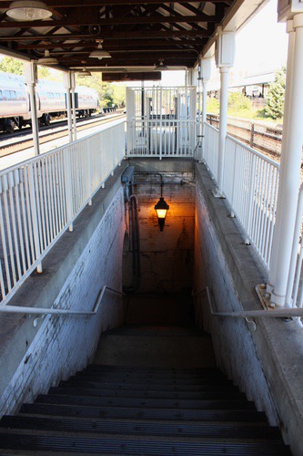alexandria6