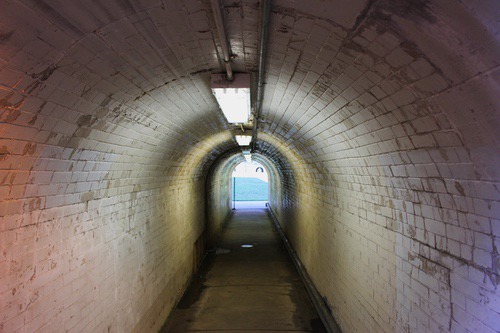 alexandria7