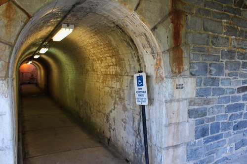 alexandria8