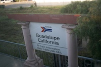 guadalupe6