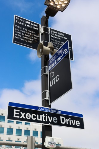 executive_drive20