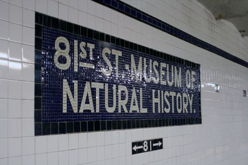 Exploring the Wonders of the 81st Street Museum of Natural History