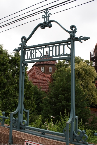 foresthills19