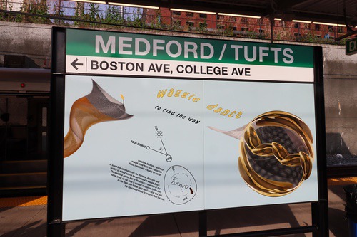 medford_tufts31