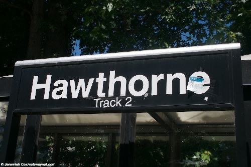 hawthorne11