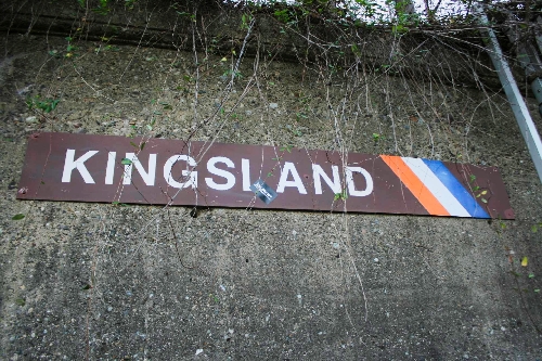 kingsland29