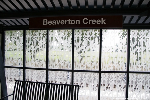 beaverton_creek6